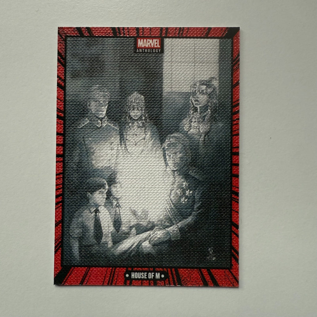 Panini Marvel Anthology House Of M Canvas Card C8