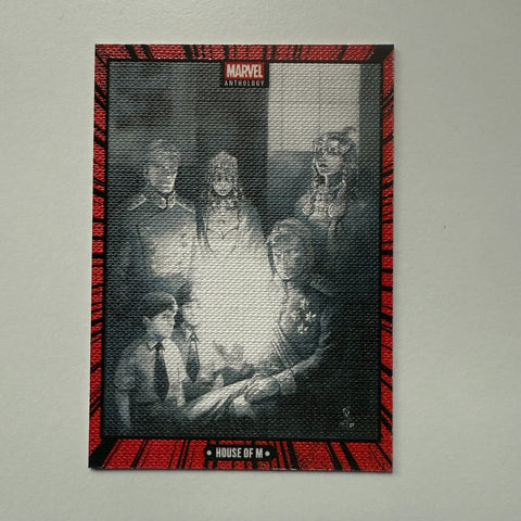 Panini Marvel Anthology House Of M Canvas Card C8