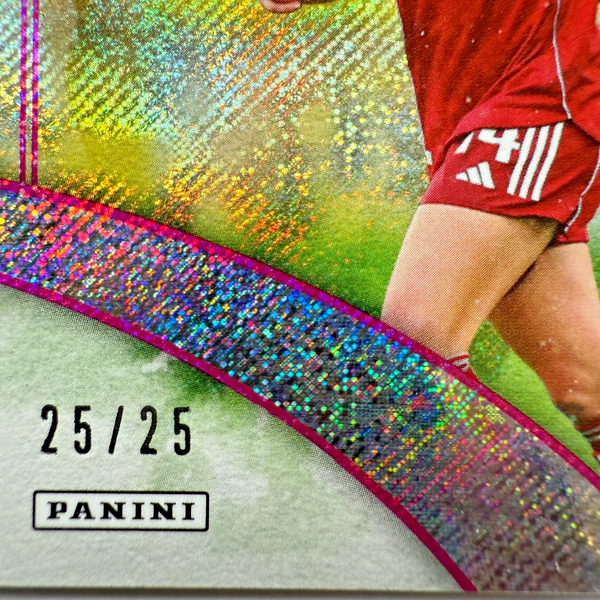 Panini Eternity WSL 25/26 Marie Höbinger Artistic 25/25 Liverpool Bookend